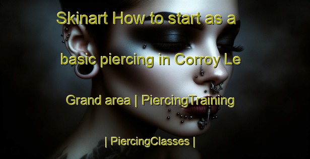 Skinart How to start as a basic piercing in Corroy Le Grand area | PiercingTraining | PiercingClasses | SkinartTraining-Belgium